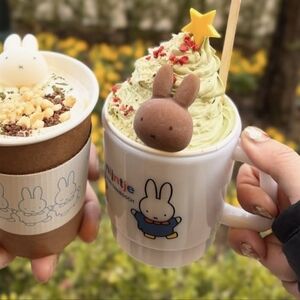 Huis Ten Bosch Souvenir Cup Mug Rare Christmas Holiday, Not for Sale Item